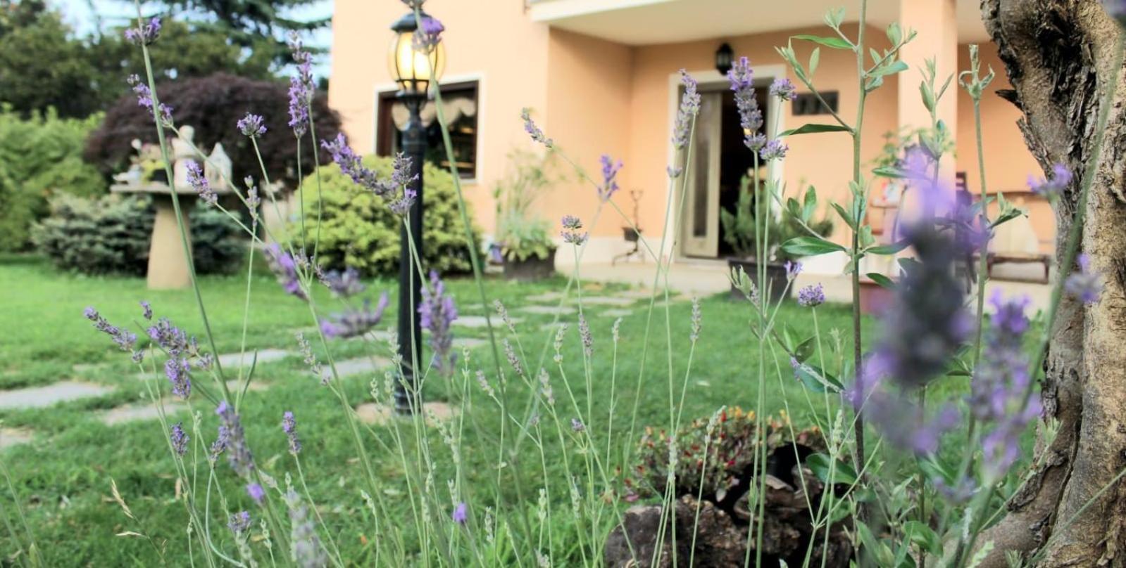 Un Sorriso Sul Viso Villa Martiniana Po Bagian luar foto